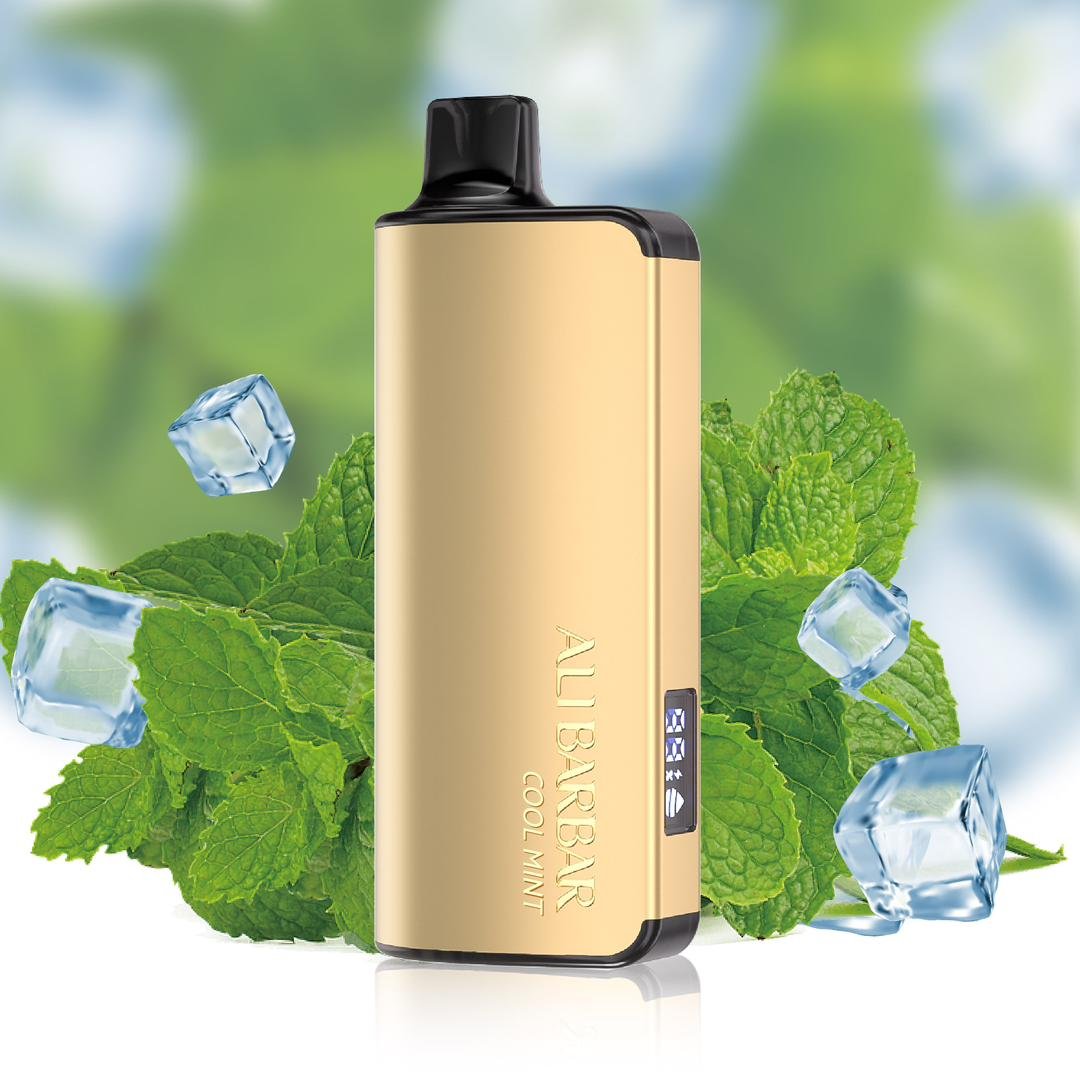 ALIBARBAR INGOT 9000 PUFF – COOL MINT