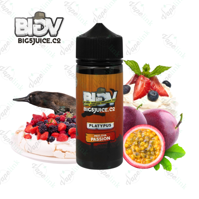 BIG 5 JUICE CO. - PLATYPUS 100ml