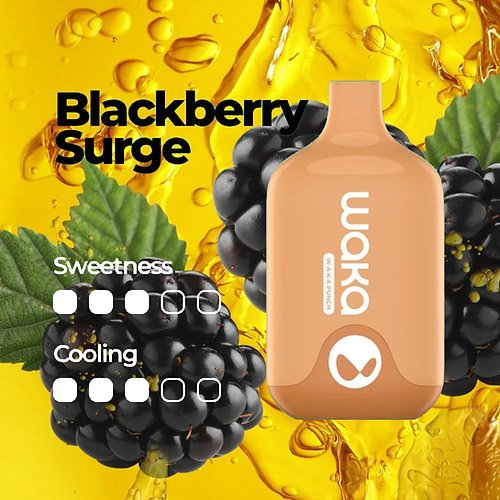 WAKA SMASH 6000 PUFF – BLACKBERRY SURGE