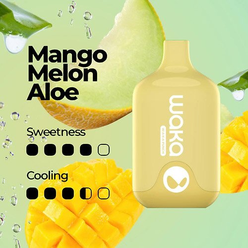 WAKA SMASH 6000 PUFF – MANGO MELON ALOE