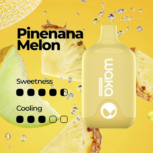 WAKA SMASH 6000 PUFF – PINENANA MELON