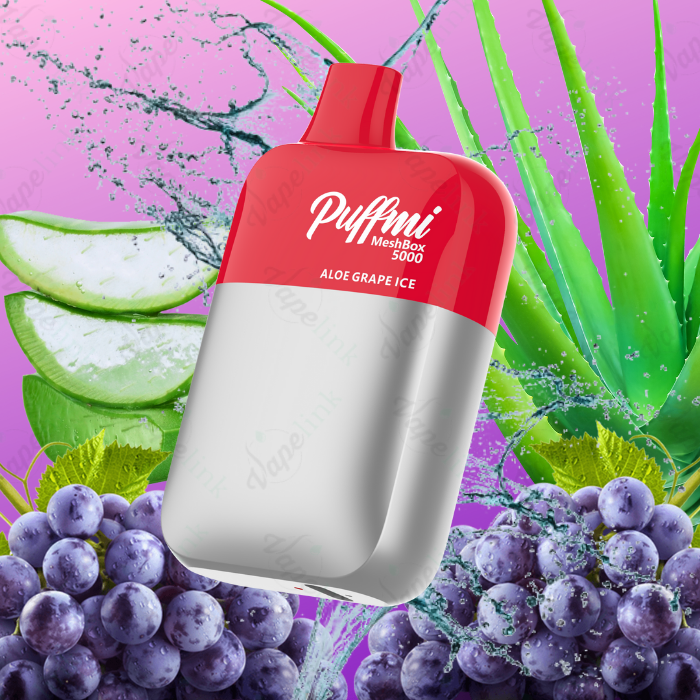 Puffmi MeshBox 5000 Rechargeable Disposable Vape