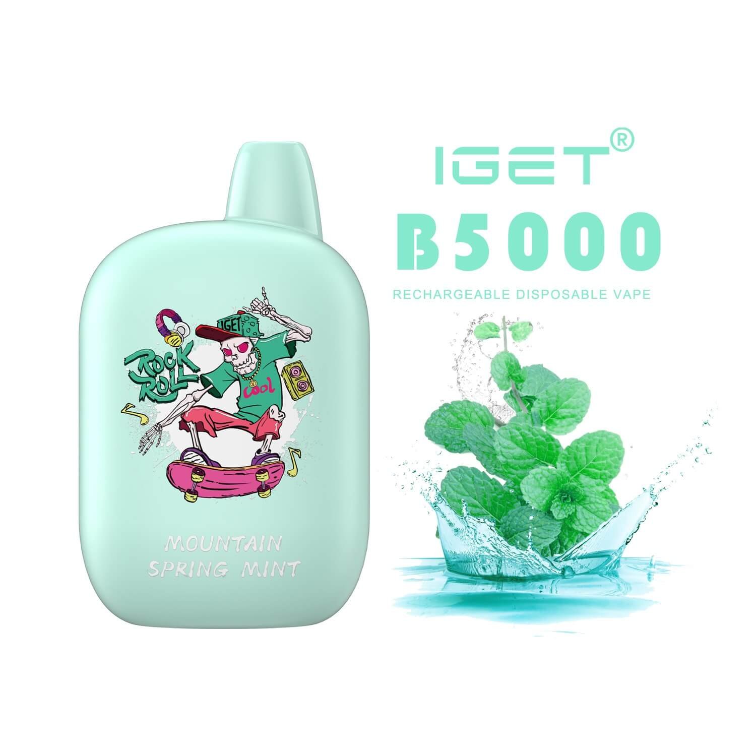 iGET B5000 VAPE 5000 PUFF – MOUNTAIN SPRING MINT