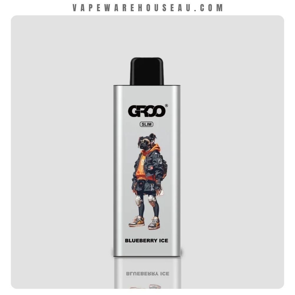 GROO Slim 9000 Puffs Blueberry Ice