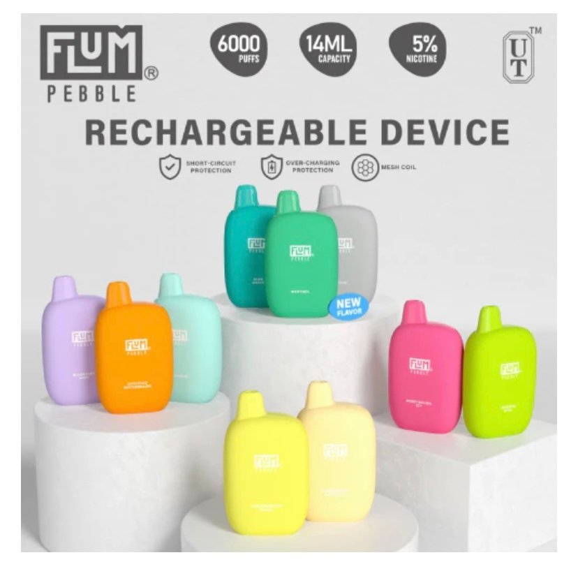 Flum Pebble Rechargeable Disposable 6000 Puffs