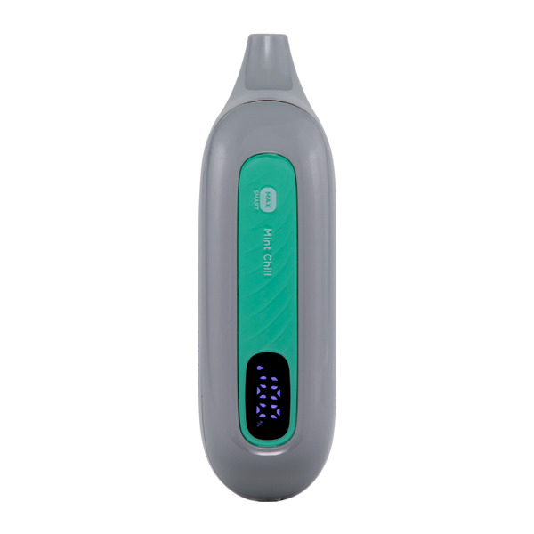 Mint Chill FLONQ Max Smart