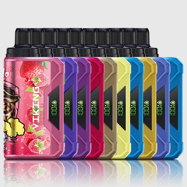 VapSolo VIKING 12000 Puffs – Pack 10 items
