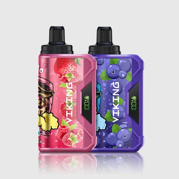 VapSolo VIKING 12000 Puffs – Pack 2 items