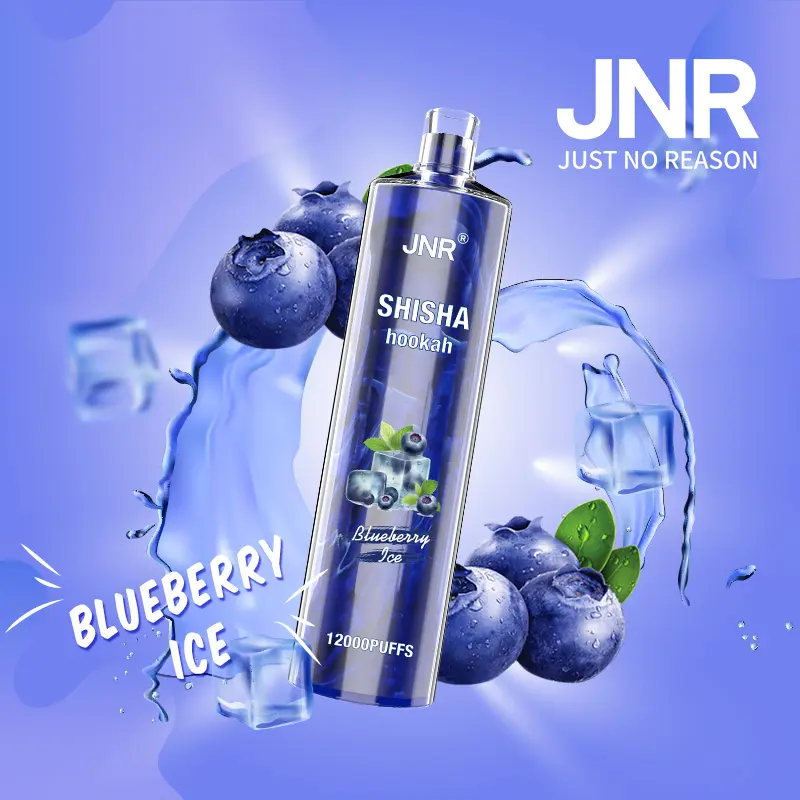 JNR Shisha Hookah - Blueberry Mint 12,000 - AusVape Direct
