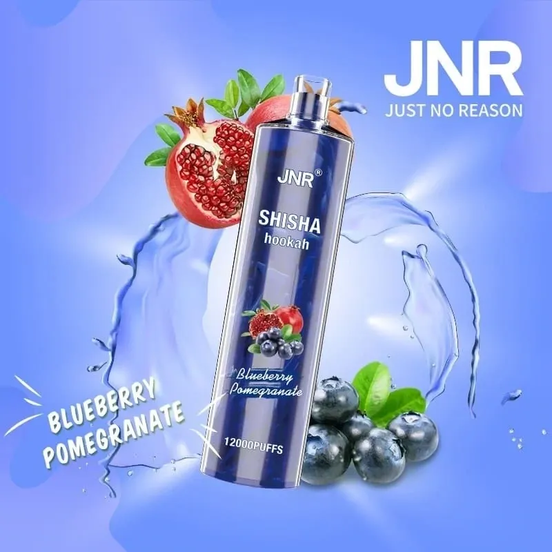 JNR SHISHA HOOKAH - BLUEBERRY POMEGRANATE 12000 PUFFS